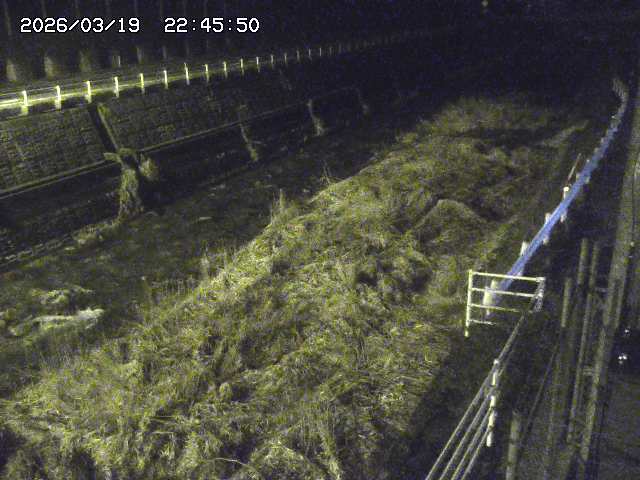 取得できませんでした