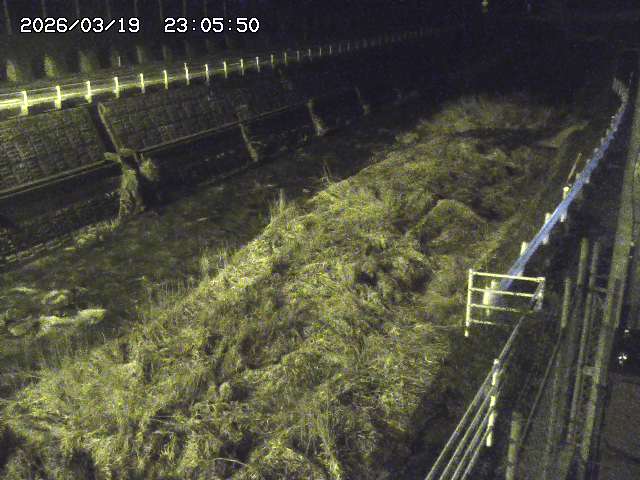 取得できませんでした