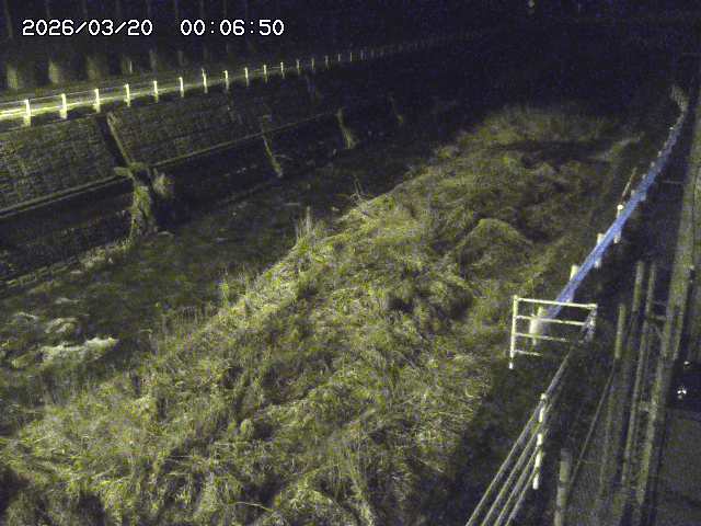 取得できませんでした