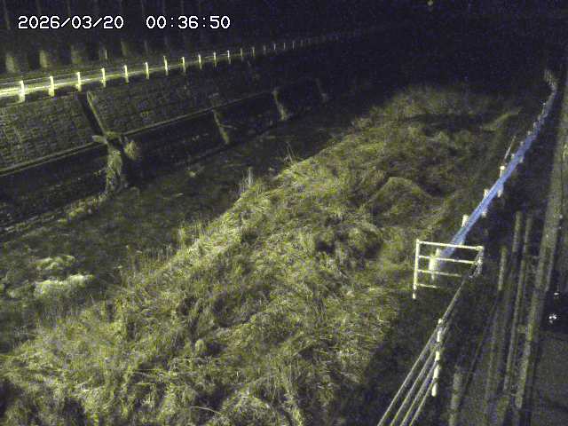 取得できませんでした