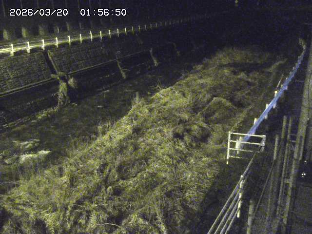 取得できませんでした