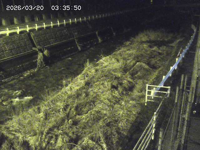 取得できませんでした