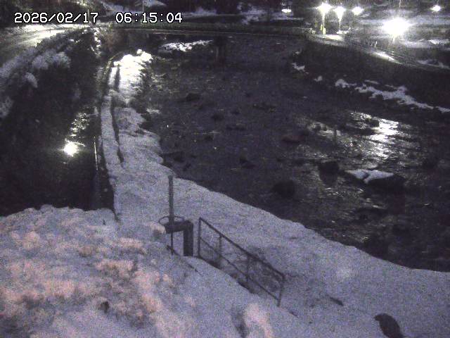 取得できませんでした