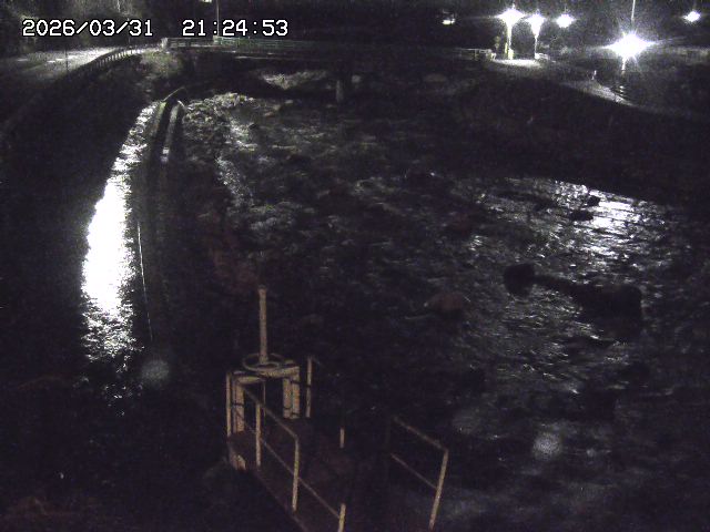 取得できませんでした