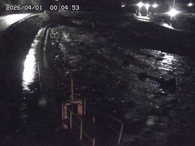 取得できませんでした