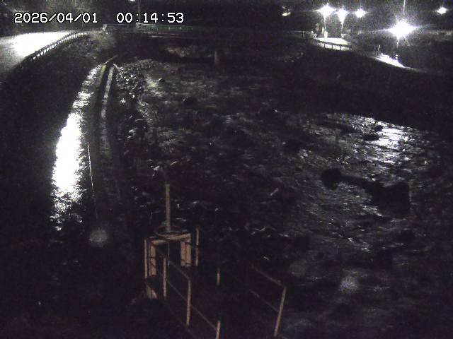 取得できませんでした