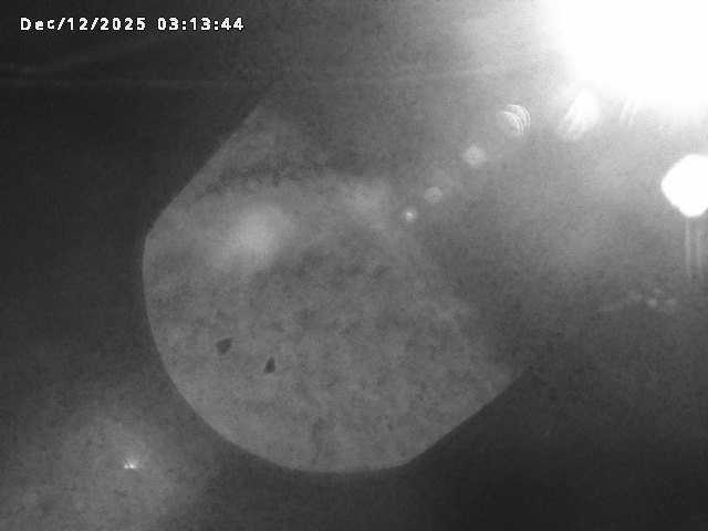 取得できませんでした