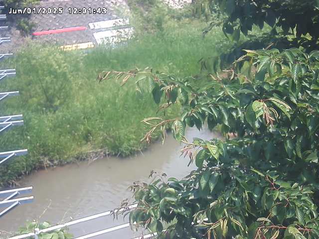 取得できませんでした