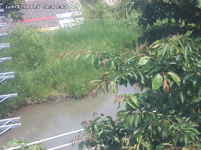 取得できませんでした