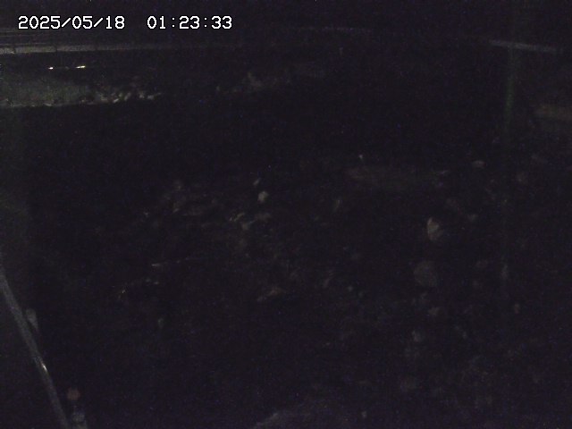 取得できませんでした