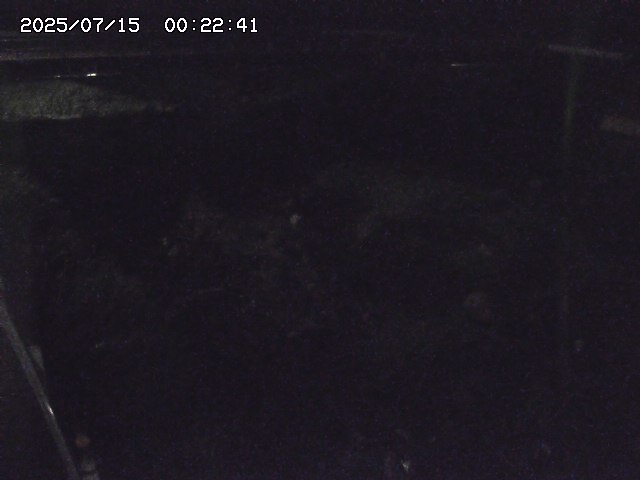 取得できませんでした