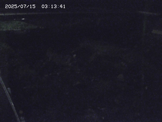 取得できませんでした