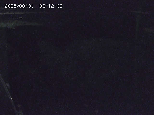 取得できませんでした