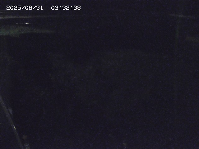 取得できませんでした