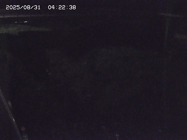 取得できませんでした
