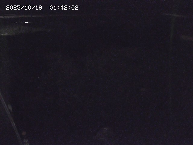 取得できませんでした