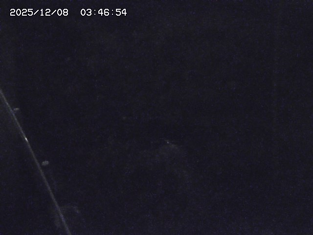 取得できませんでした