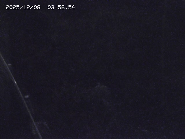 取得できませんでした