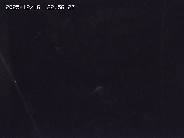 取得できませんでした