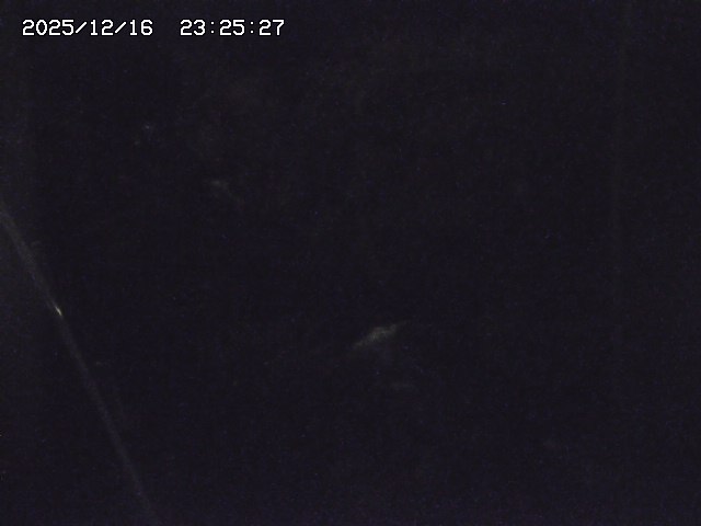 取得できませんでした