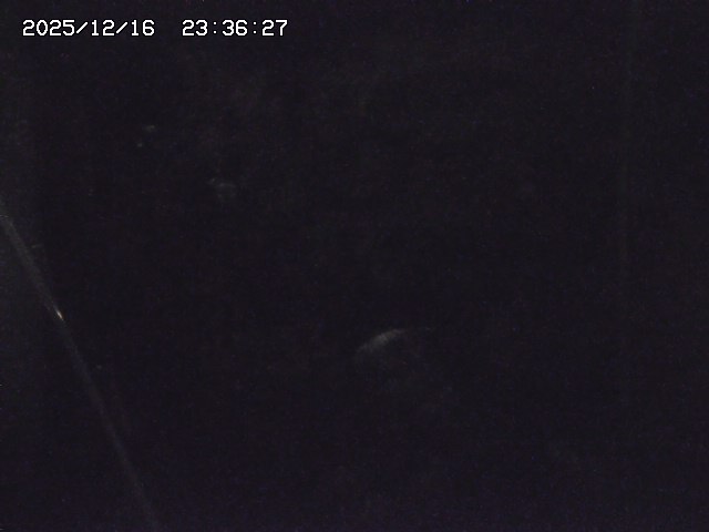 取得できませんでした