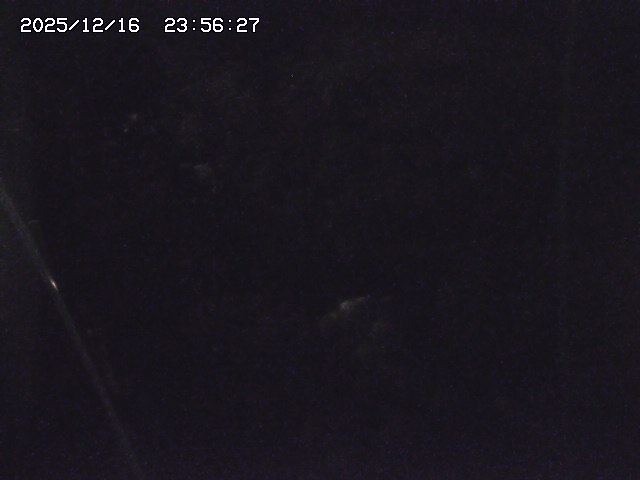 取得できませんでした