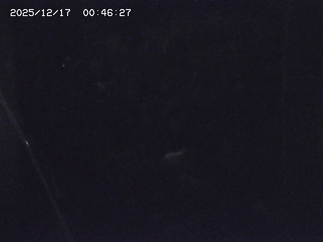 取得できませんでした