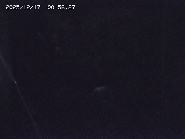 取得できませんでした