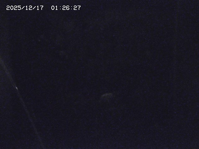 取得できませんでした