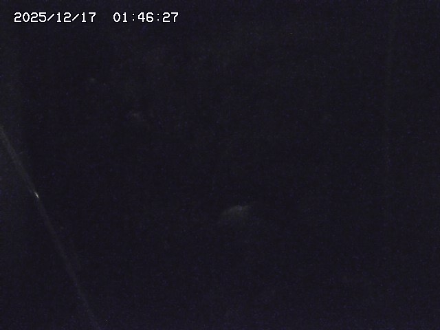 取得できませんでした