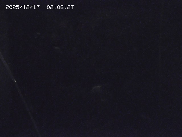 取得できませんでした