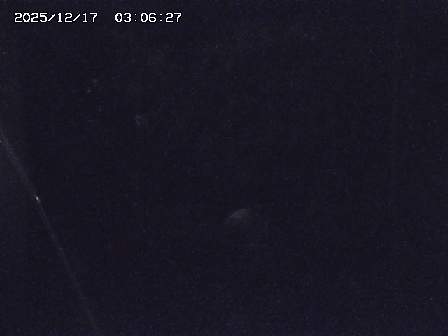 取得できませんでした