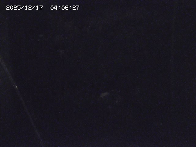 取得できませんでした