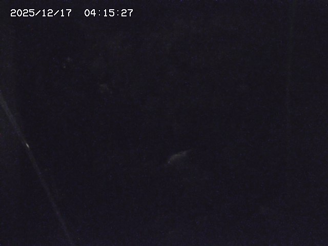 取得できませんでした