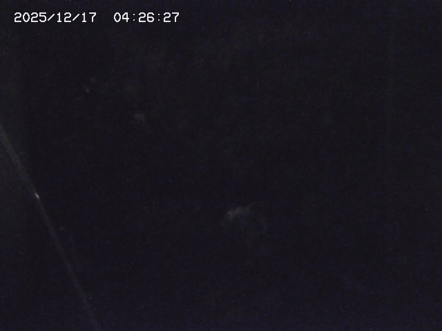 取得できませんでした