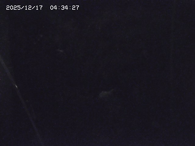 取得できませんでした