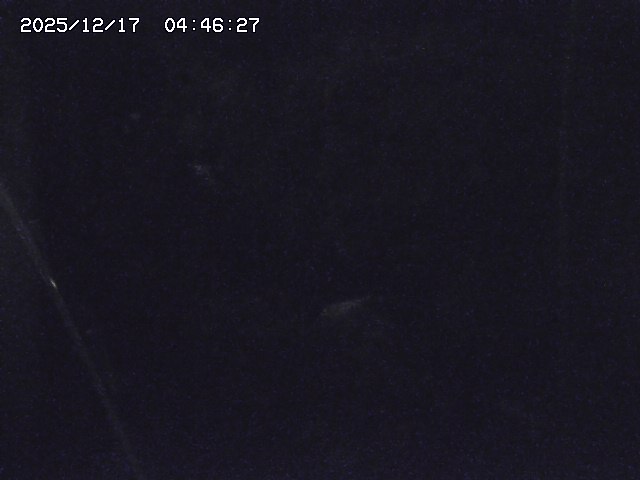 取得できませんでした