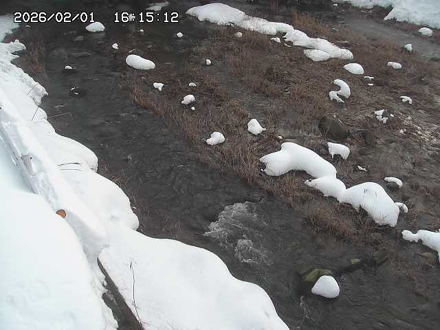 取得できませんでした