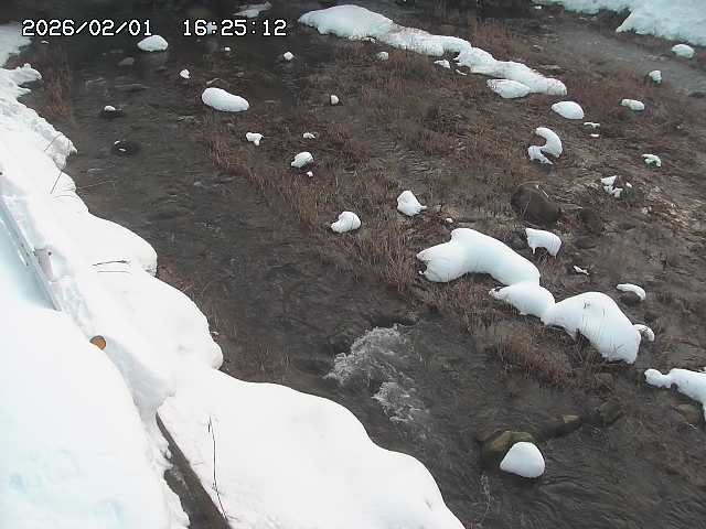 取得できませんでした