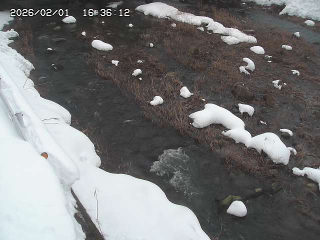 取得できませんでした