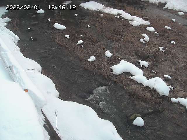 取得できませんでした