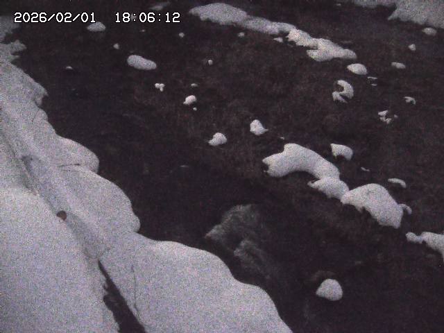 取得できませんでした