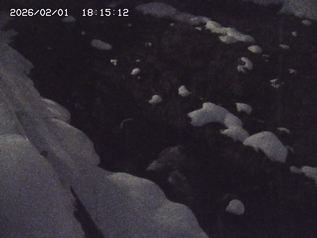 取得できませんでした