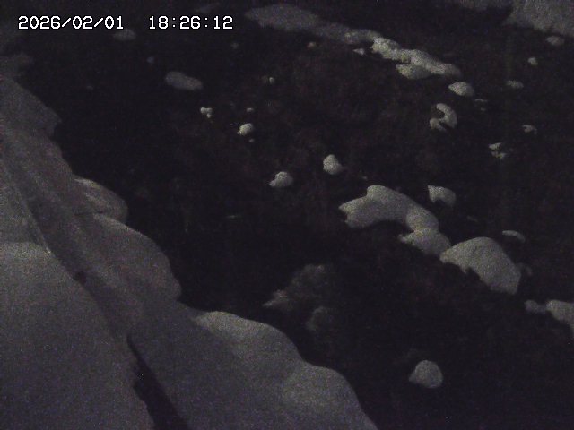 取得できませんでした