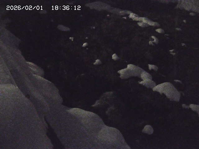 取得できませんでした