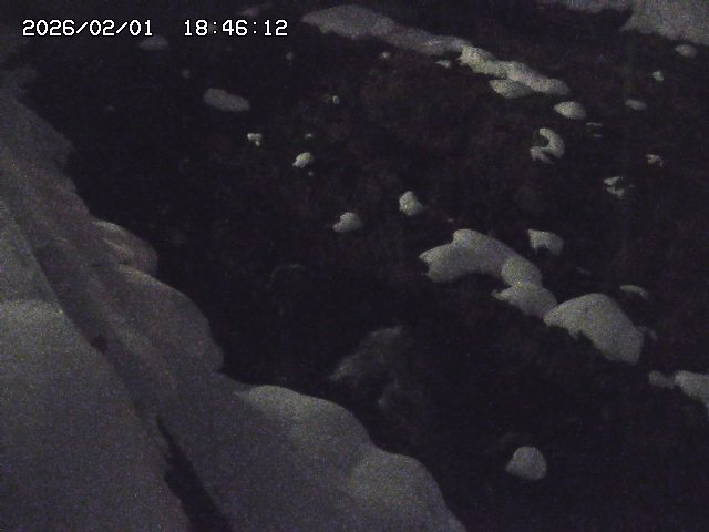 取得できませんでした