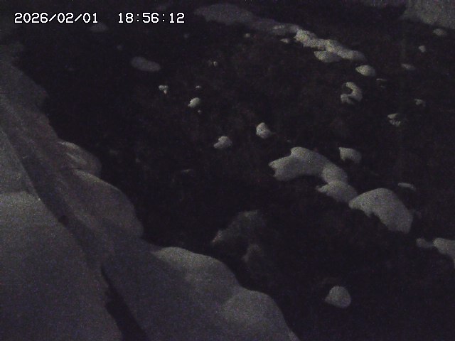 取得できませんでした