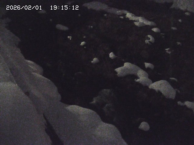 取得できませんでした