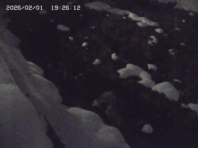 取得できませんでした