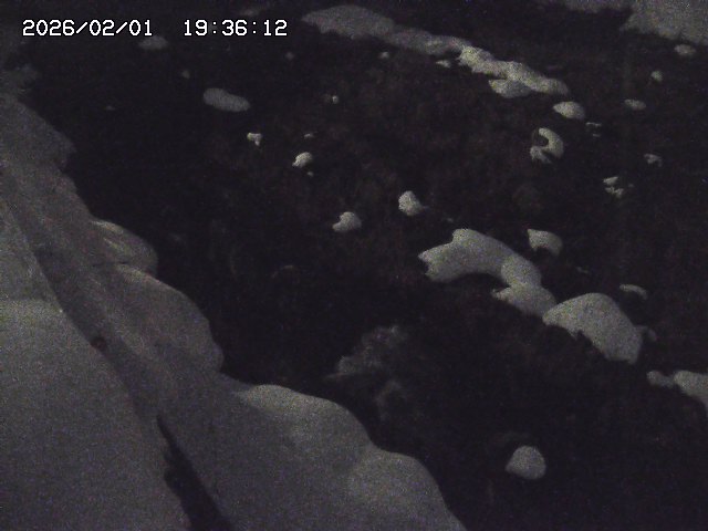 取得できませんでした